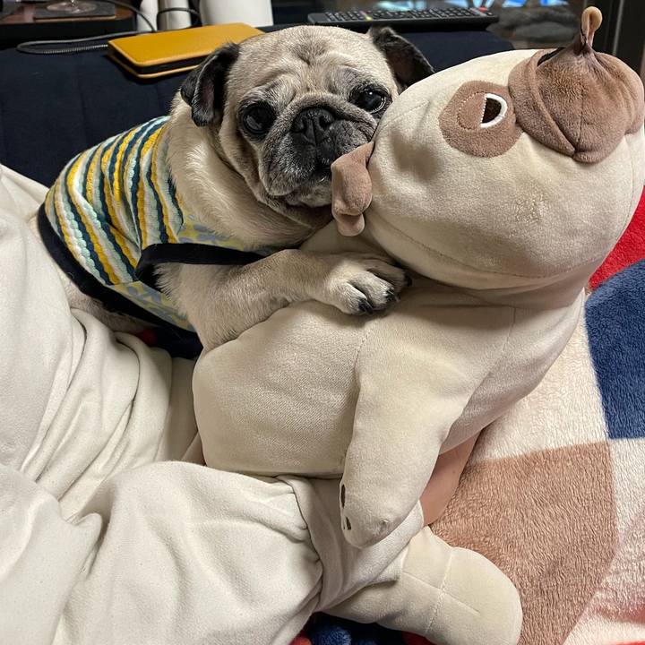 Ec654426 39fb 4afa 8228 50a2b3daa007 1762125987248