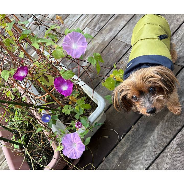 Ec658376 0f5f 4765 aaf7 4006105455bd 1729989238339