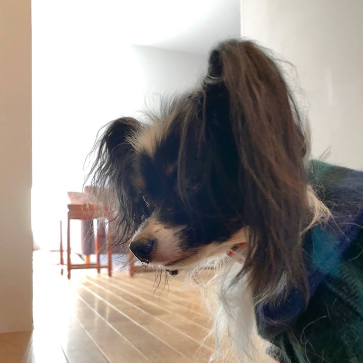 Ec65ba2d c901 4a76 b445 1ff9022f20b9 1544485694141