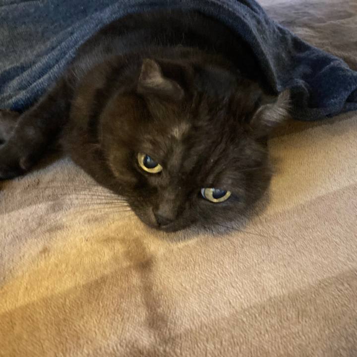 Ec65bce2 04df 4905 86f5 1da327a825f5 1635699578194