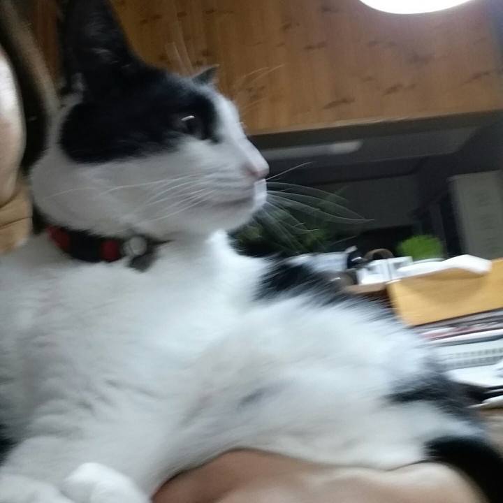 Ec65e812 54ae 4297 9a60 1e44af37b4e4 1515471705617