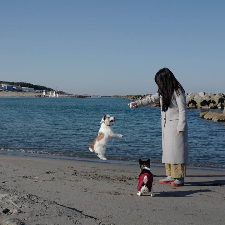 Ec65f277 656b 410e bb61 cbae55bd90ab 1552106248031