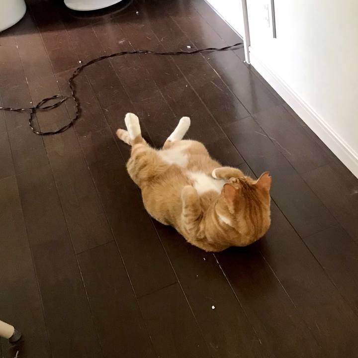 Ec65fdb9 b6c0 4bde a569 0aa9065ad667 1630676883959