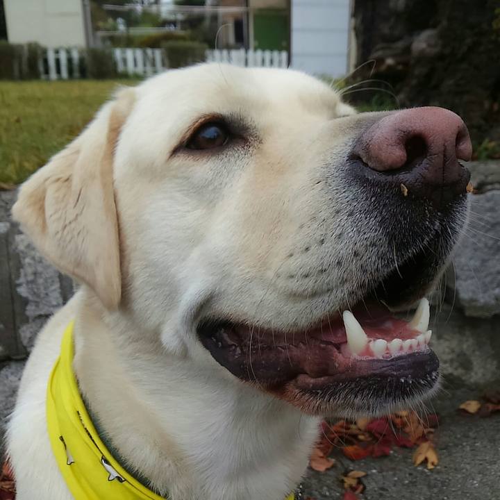 Ec66435f 6b54 4fda 8646 513033c28235 1510971707251