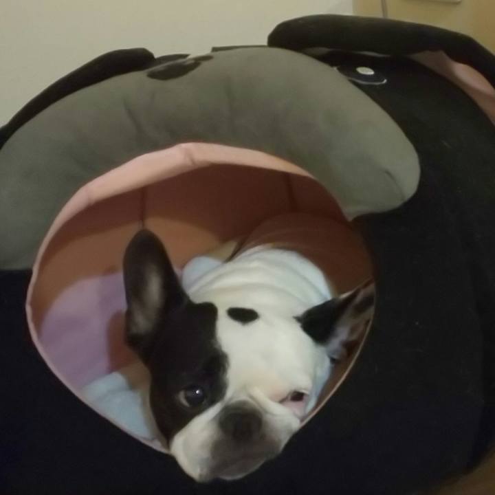 Ec66a139 be4d 424e bd1a cf8d2b9746b4 1602384108616