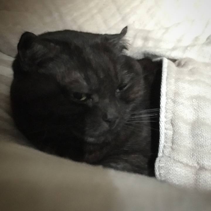 Ec66afed 3c3a 416e 9058 1c50154d2cbb 1549517963428