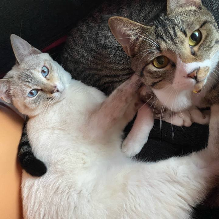 Ec66b6f2 a7c8 4d97 960a 62c22f67e0a6 1648455280634