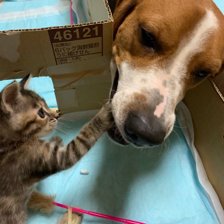 Ec66fcc8 c566 4148 acb6 75651de6a694 1558018311699