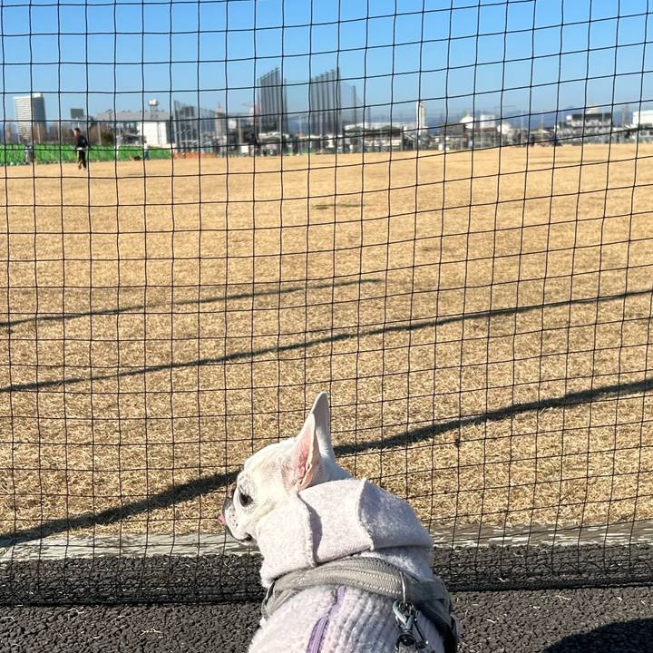 Ec672b9c 7263 49a7 833b 0252f21ad442 1703823986296