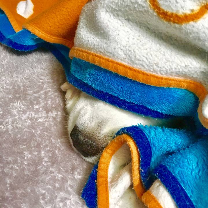 Ec676529 cf85 4043 b577 1f28f090ab91 1548905221361