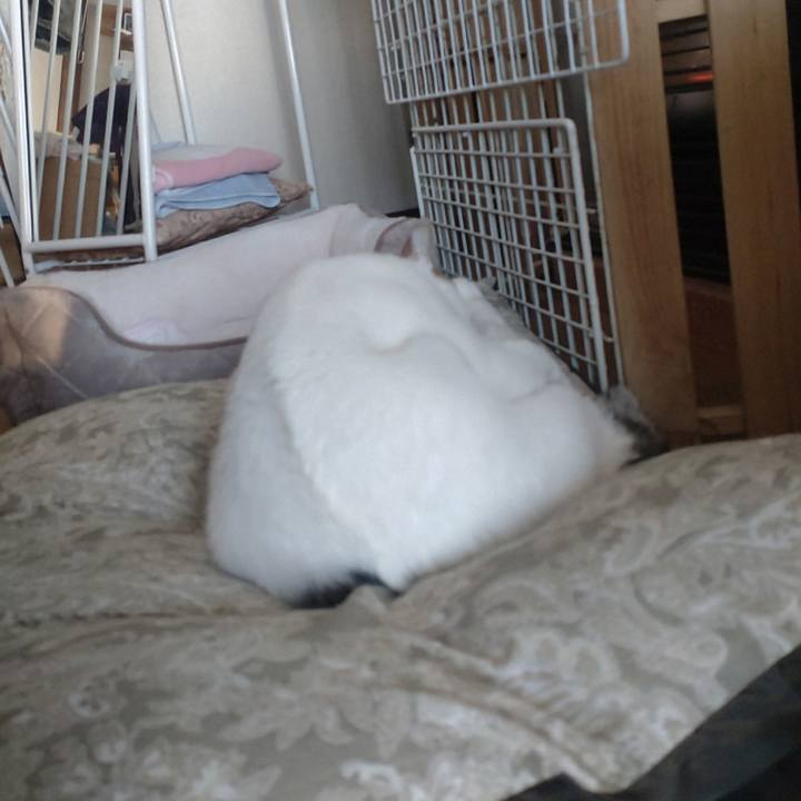 Ec6772ff e978 4db0 ac18 709095ab95ae 1735517370409