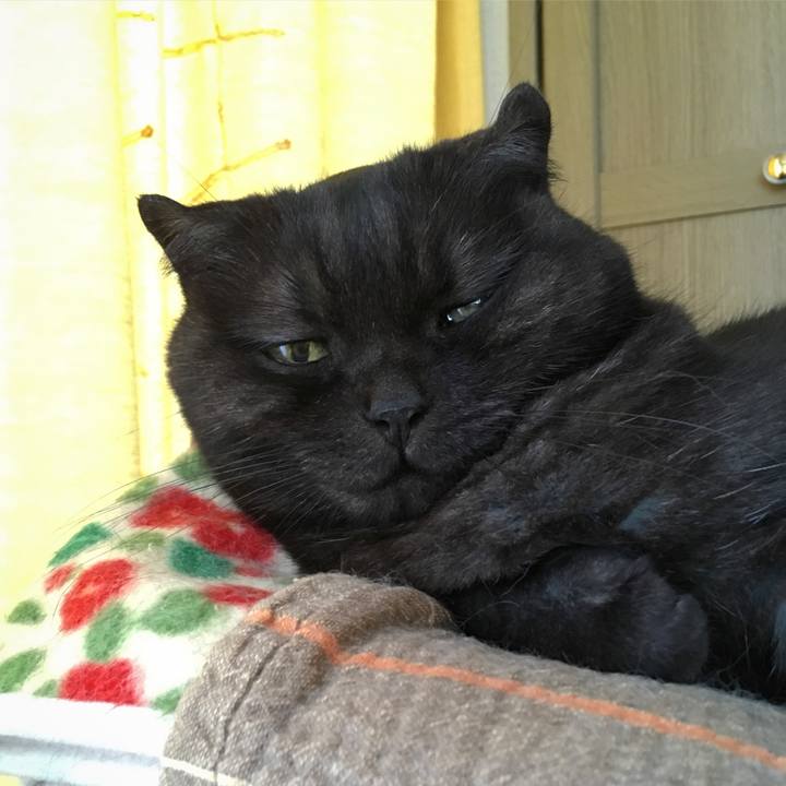 Ec6785c5 f370 4995 b4d0 ff9cf4547b53 1536370037409