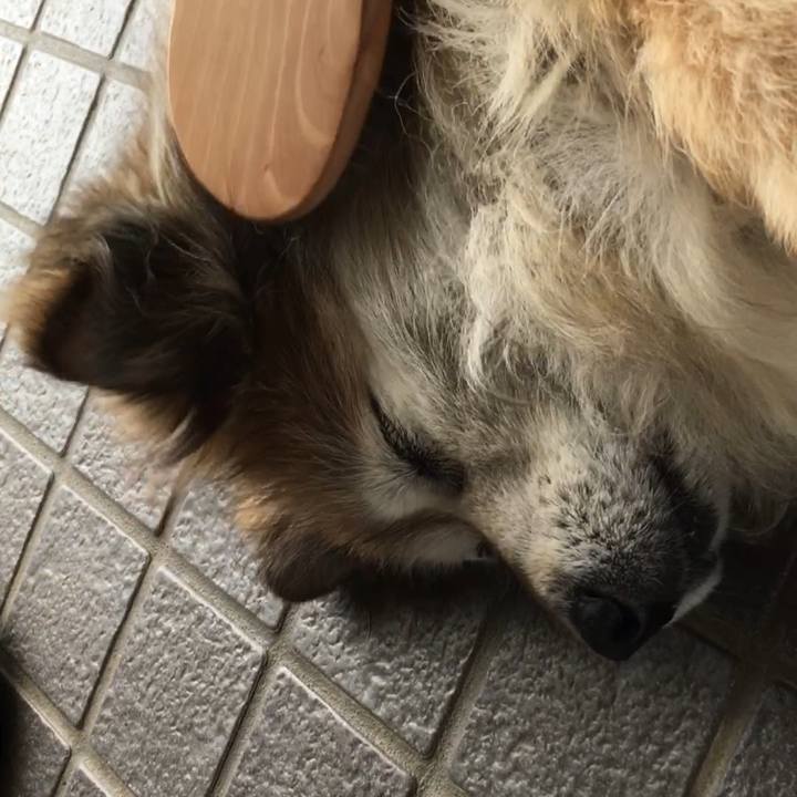 Ec679e01 3e59 40fc a5fd 91929d0faa3c 1555908887596