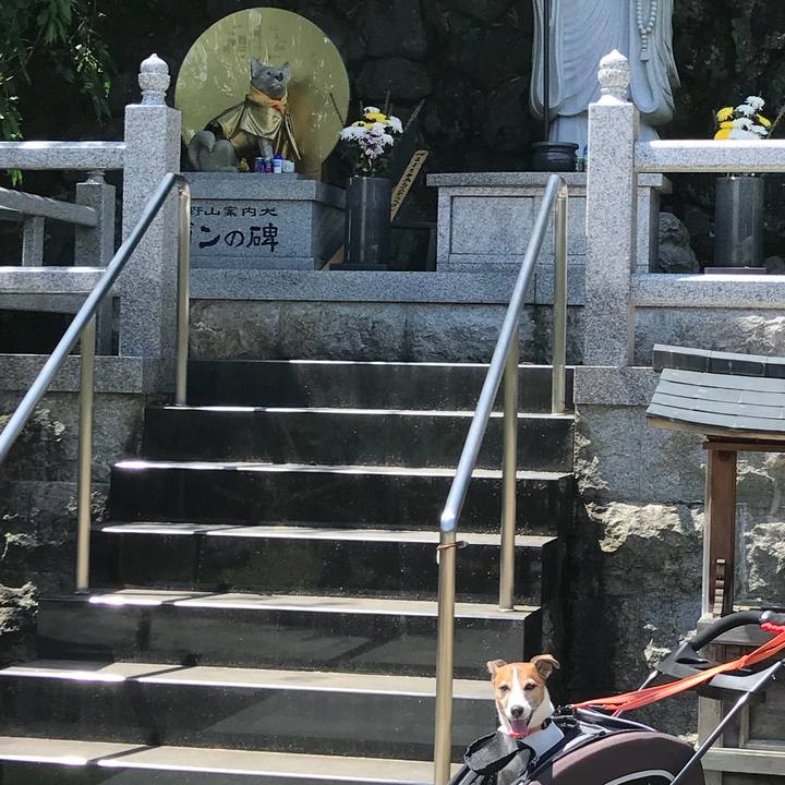 Ec67a1da 22a3 40d5 8c40 f7d43c0d4569 1529233300239