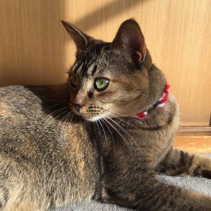 Ec67a80e 88f4 42e5 bd64 ff6ea5ad33a6 1606718661520