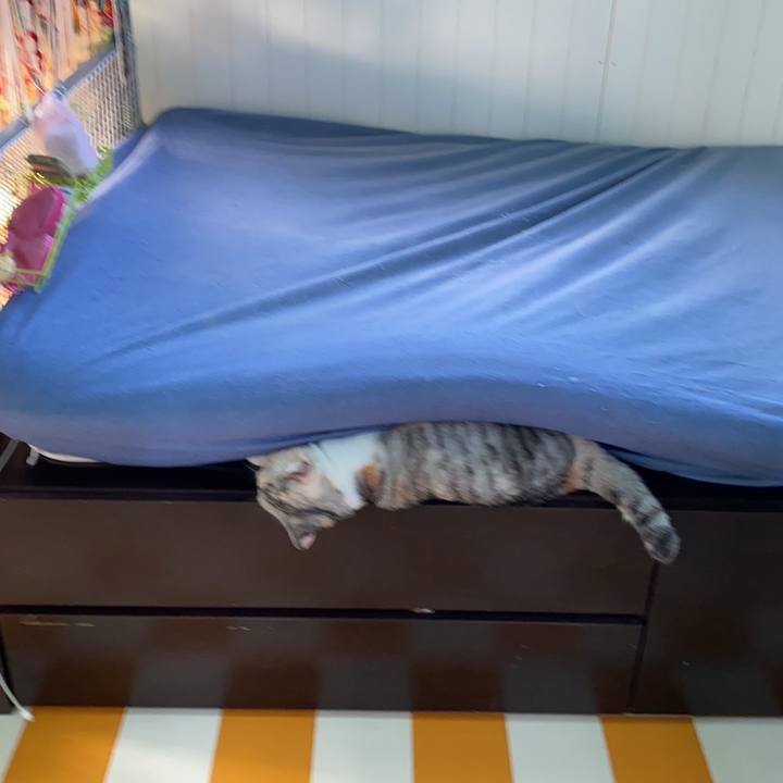 Ec680034 183c 45e1 894d e92f96181112 1695106363471