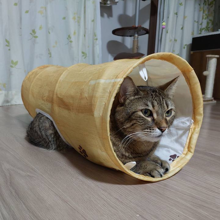 Ec680beb b8f4 4b2e 994f 41336b9a29e3 1639313790074