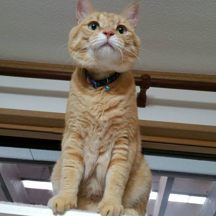 Ec68a706 f570 4947 8e86 88a9ba90f5a4 1533466772782