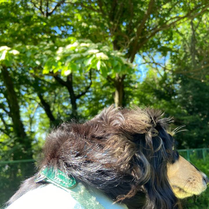 Ec68da34 0844 492c 827e 8d23cbe53aea 1682555371746