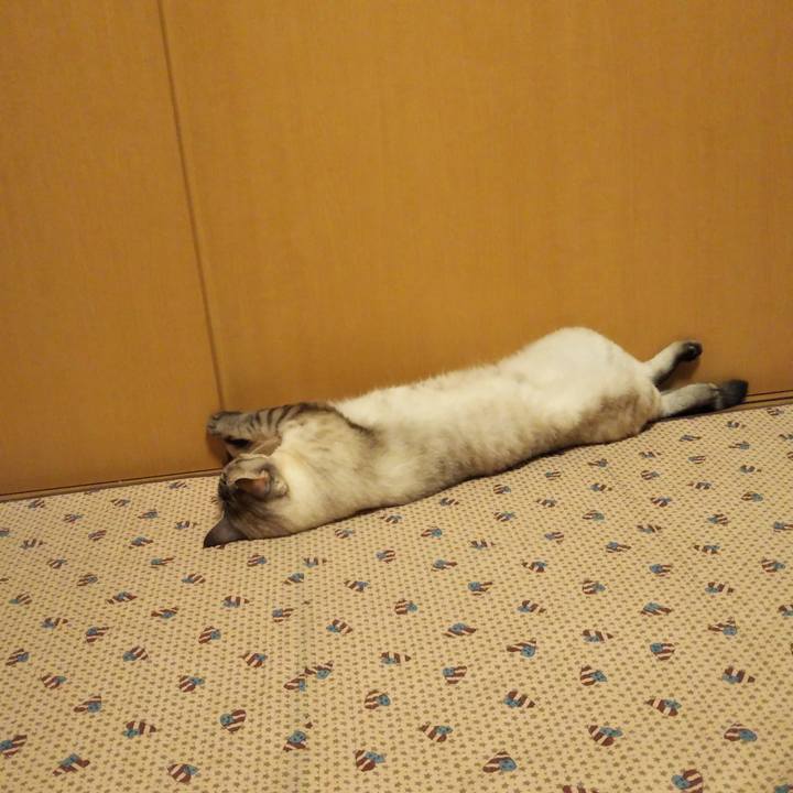 Ec68ed8c 1384 4263 b0eb bcb08fd04d0f 1529324450195