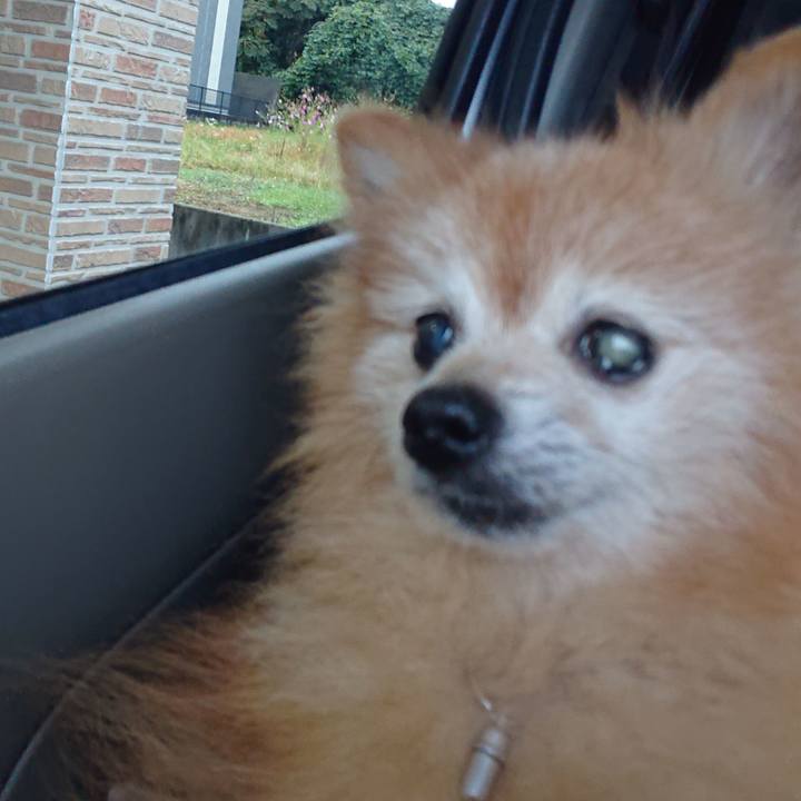 Ec69139d 5298 44b1 ab2f 18843739cbab 1634123747974