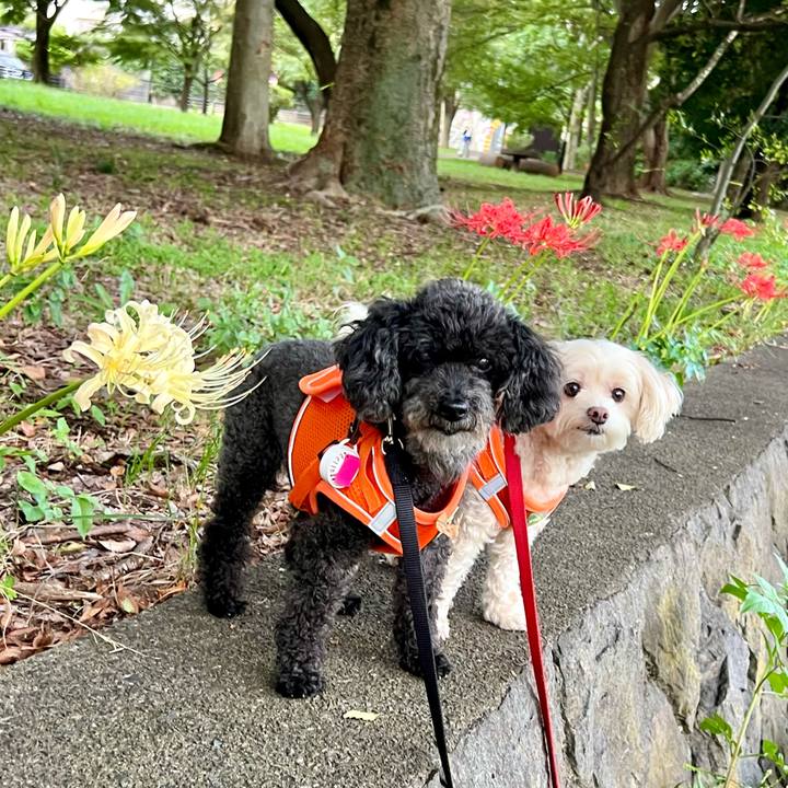 Ec6937a8 004f 4f0e bca9 4fe5b22828ef 1758530337787