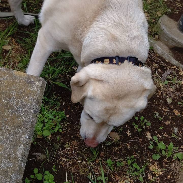 Ec693aa4 67f5 4bbb 9aeb f7db522658ac 1647831413343