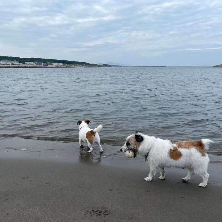 Ec693fa5 b277 4628 88ca d6076759f2cc 1694996156040