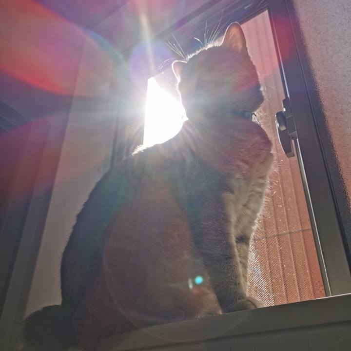 Ec695227 2500 4c53 b733 368a5aa20a64 1625023426108