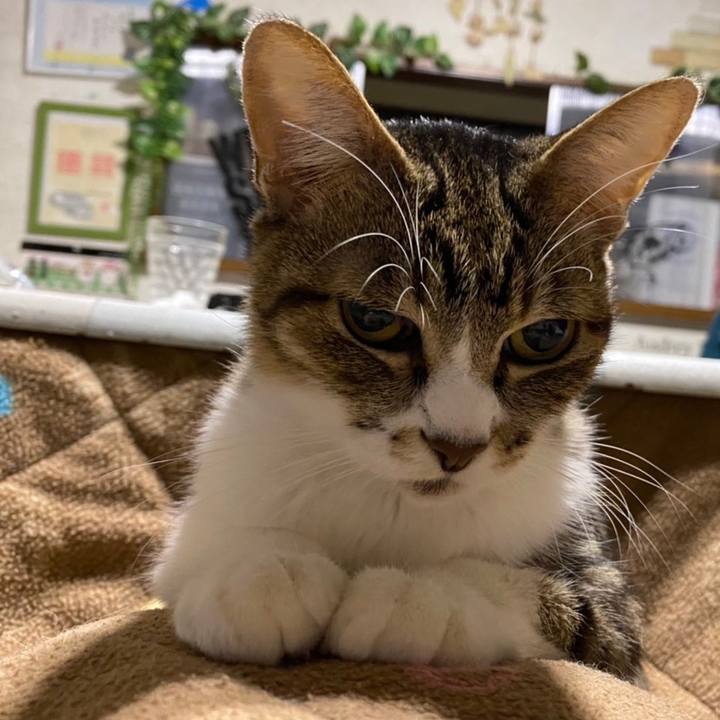 Ec6987d8 ef2c 4b7e 98e3 f922be15dc58 1604843236704