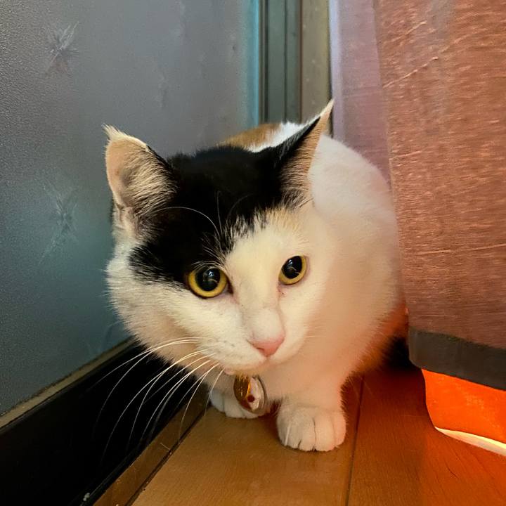 Ec699a72 660c 495b bc6f 629ed39de889 1646054843255