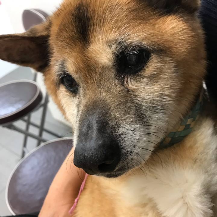 Ec69df4f 34f5 4bfa b88f 6be728aaf392 1557309702274