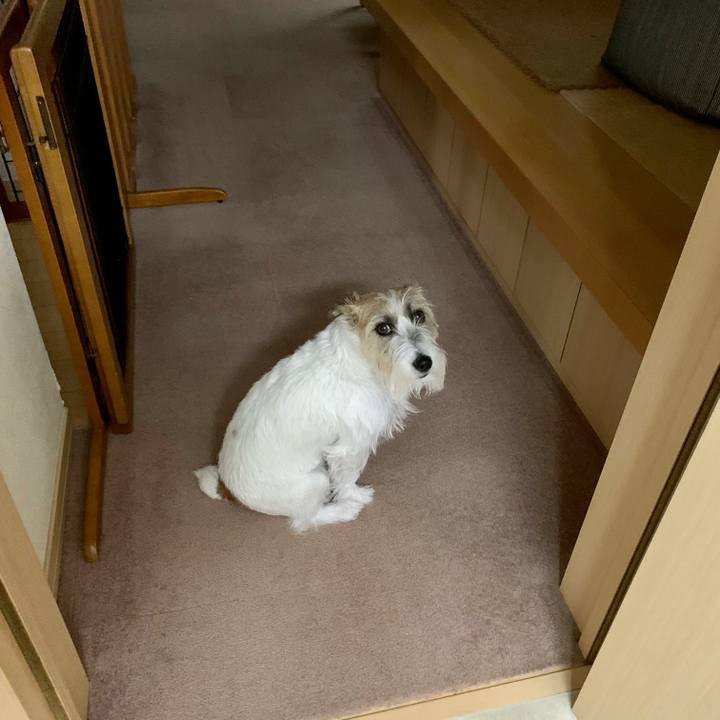 Ec69feb8 5881 4cc6 8e39 0b2c92910bb1 1665107832935