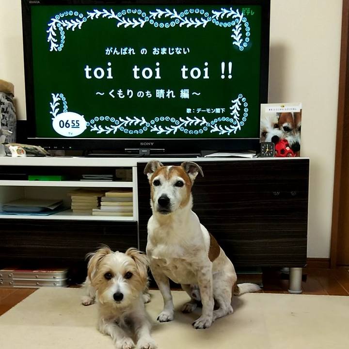 Ec6a2323 fb5f 4f4c a689 17c060a82ec9 1550442514624