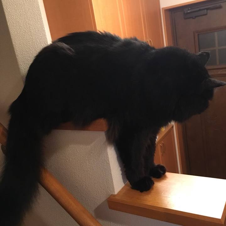 Ec6a6052 f3a7 448e 92cf ff5053bddad8 1533036941347