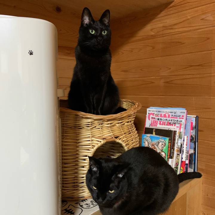 Ec6a73e0 e92b 4d84 9494 ed9d9a87c0fb 1578319283383