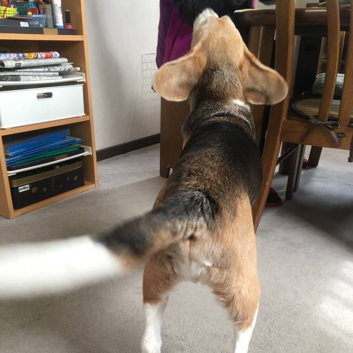 Ec6ae8f0 7747 4696 8651 6dae5411d7dc 1523154096238