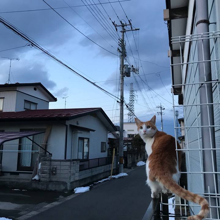 Ec6ae980 d479 45ca 9681 3c786fa35527 1518690634430