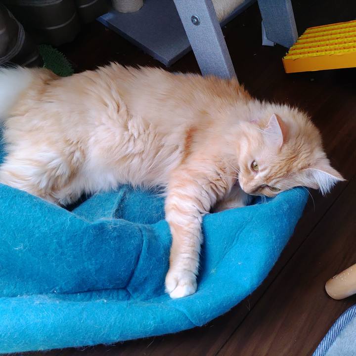 Ec6aeedb 6cd4 490d 84af 8858f0cd0dcc 1662265963684