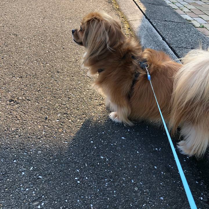 Ec6b0cb9 e273 49e0 a93c 8d7747d417c5 1566685375824