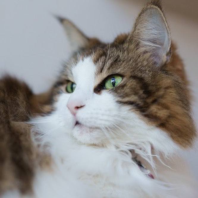 Ec6b0dea 0eea 4984 a1ce f288cd7ccb2e 1763873074531