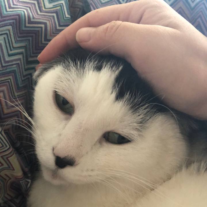 Ec6b60a4 00a7 4fa1 8b2d f0290ead0a24 1548462330384