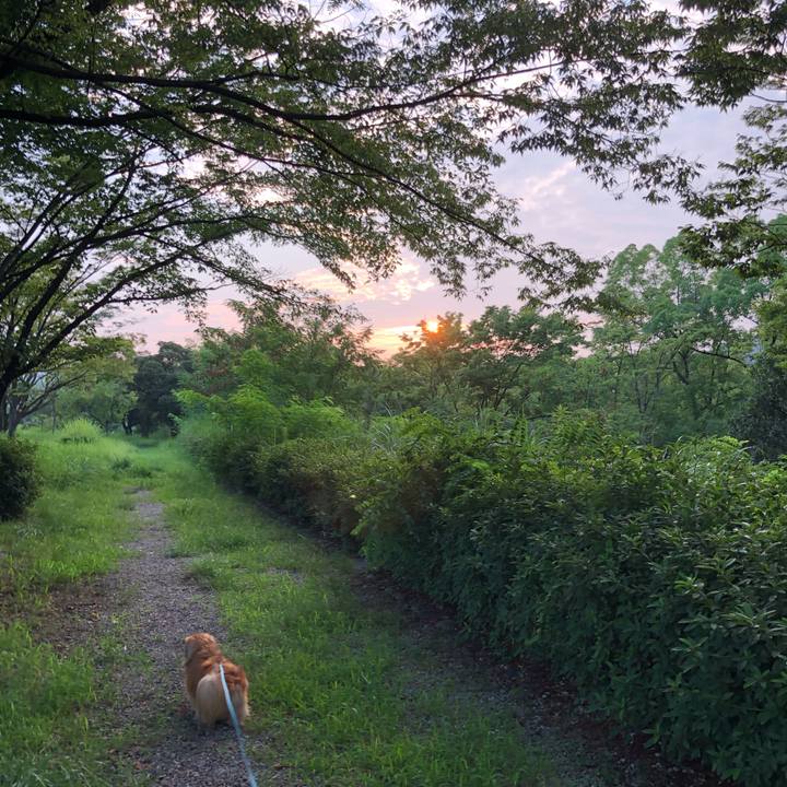 Ec6b63fd 173f 47ae b30e 956f77690b05 1564434154970