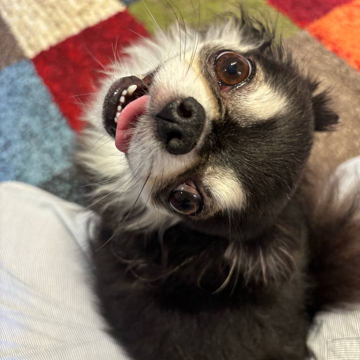 Ec6b8f0d ce42 4fd5 9cd9 a5c3ebb2b1f4 1756570560714