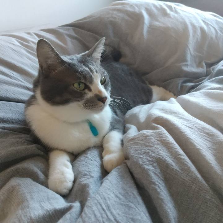 Ec6b9834 17c0 4942 ac74 6a0addbe0702 1637716556833