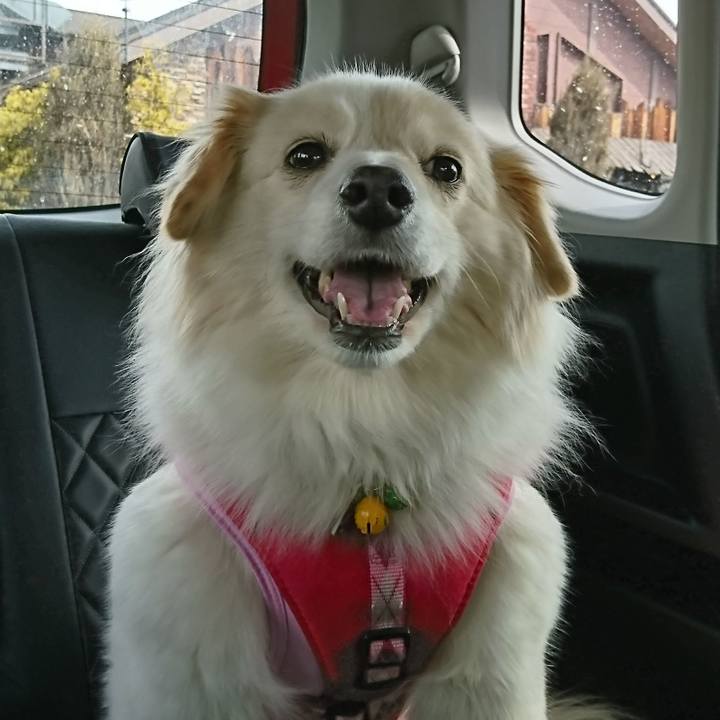 Ec6ba2ab d454 45fe b2af ce9283f0e046 1519957221585