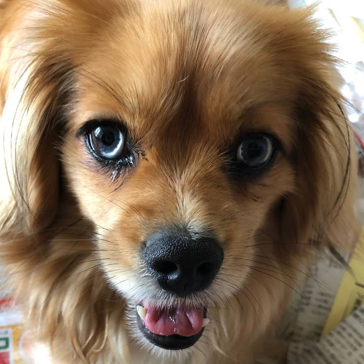 Ec6ba60f 64de 49ef b37f 3944d5ead9e6 1557621700088