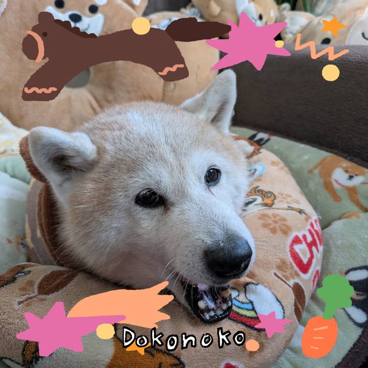 Ec6bc039 d32b 46ab 8bf5 0c961a367bcc 1771891506193