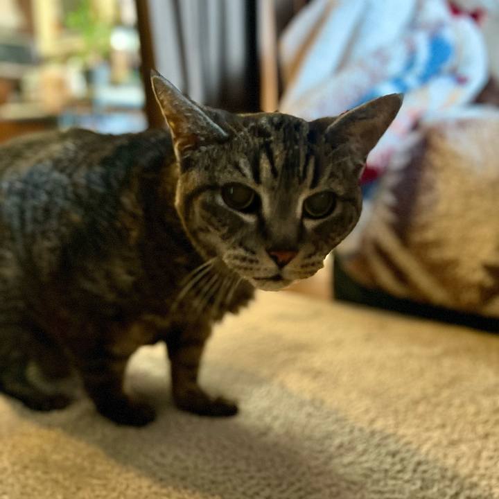 Ec6bc085 6c15 4f29 9549 c9d18352c04d 1764501870240