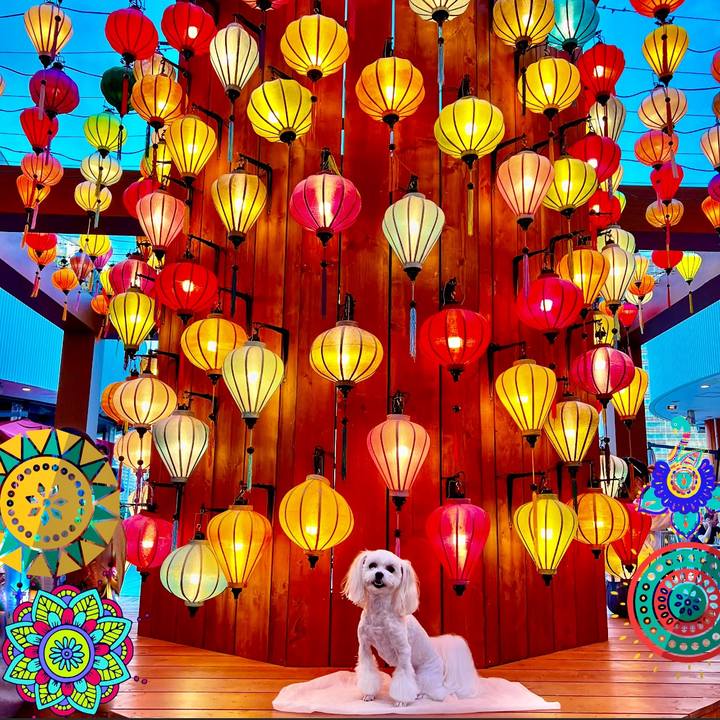 Ec6bea18 51ff 4542 bdbd e13944da44a3 1660290320407